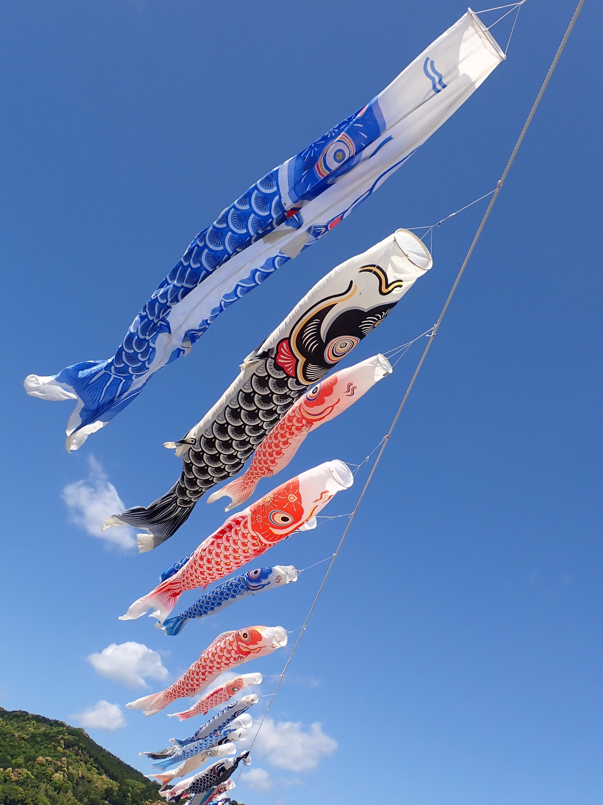 海の中も陸もにぎやかです♪