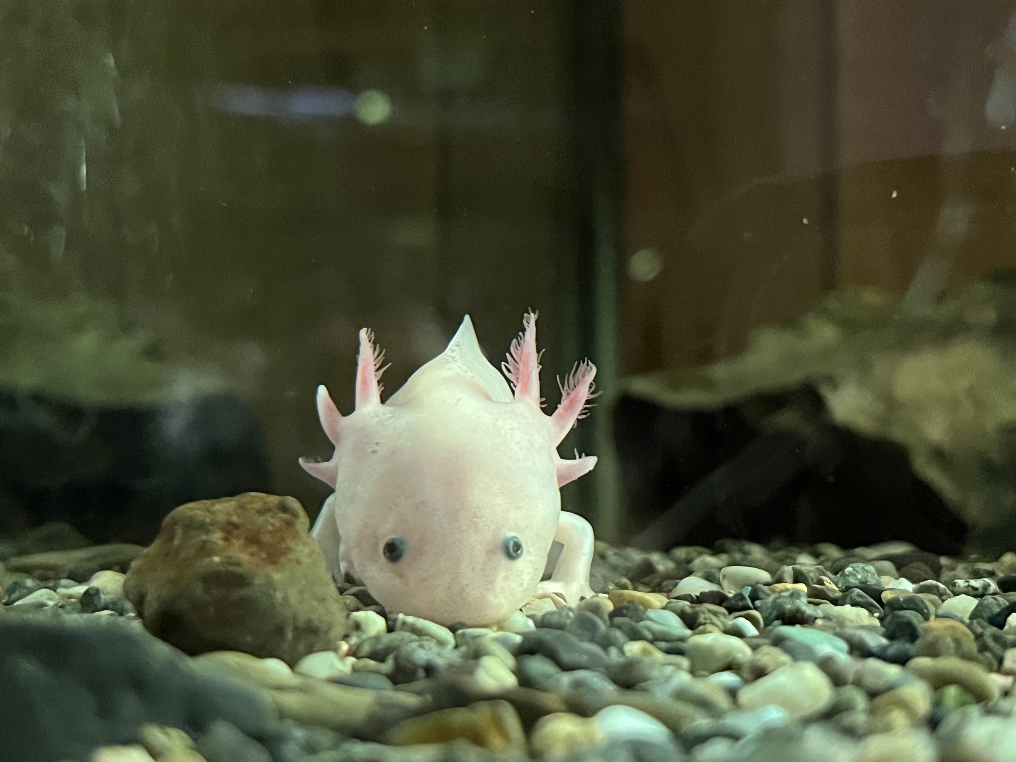研修ツアー1日目